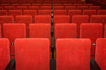 Seats in the cinema. Lots of seats in the hall.