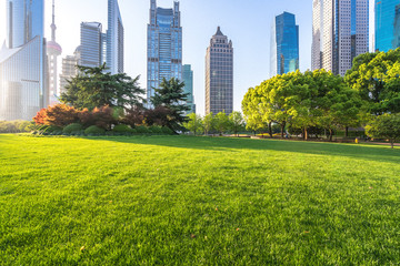 modern office building with green lawn in shanghai park