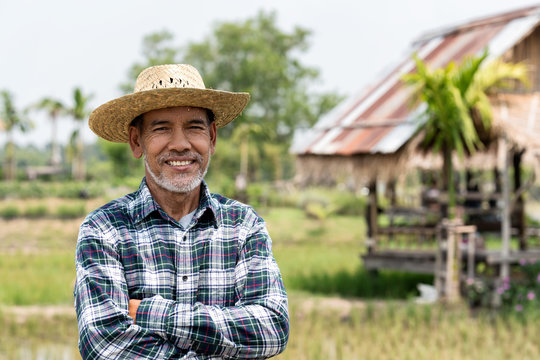 Portrait happy mature man is smiling. Senior farmer with white beard feeling confident. Elderly asian man standing ,cressed his arm and in a shirt and looking at camera.