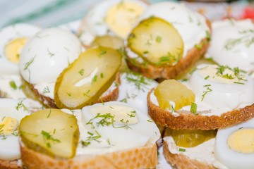 Salted cucumbers. Slices of cucumbers on the table. Sliced cucumber.