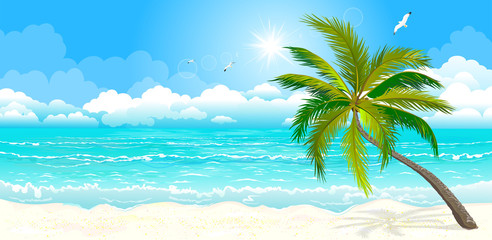 Tropical beach. The landscape of the sea shore with palm tree