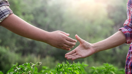 Two farmer standing and ready shaking hands on farm.