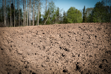Cultivated agricultural field, spring preparatory work for sowing and planting.