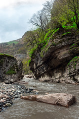 Fast mountain river in the gorge