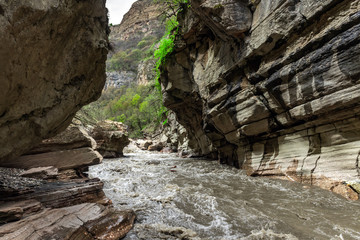 Fast mountain river in the gorge