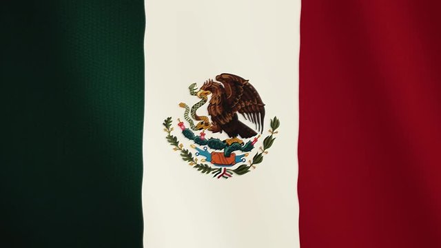 Mexico flag waving animation. Full Screen. Symbol of the country.