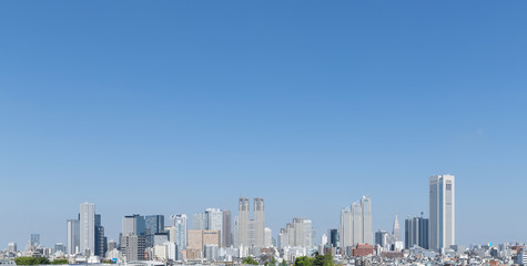 Fototapeta premium 東京風景