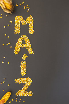 Concept of the word corn in spanish language formed with dry corn seeds on black background and decorated with golden corn cobs and dry corn seeds