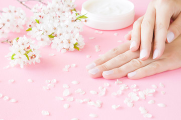Opened white jar of natural herbal cream on pastel pink background. Young, perfect woman's hands. Care about clean, soft and smooth skin. Beautiful branch of cherry blossoms. Fresh flowers.