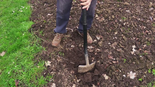 Man digging with spade
