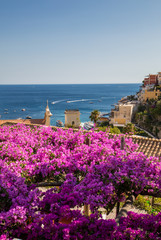 Positano framed by pink bougainvillea and boats in the background. Italy