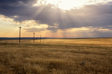 Morning steppe landscape with sun rays over clouds and power-transmission poles - 204180636