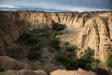 Yellow canyon - 204180669