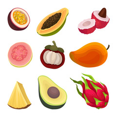 Colorful flat vector set of exotic fruits. Natural and healthy food. Ripe and tasty products. Ingredients of vegetarian nutrition