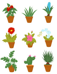 Flat vector set of indoor plants in brown ceramic pots. Houseplants with green leaves and blooming flowers