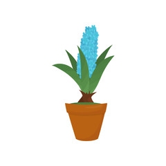 Hyacinth with blue blooming flower and green leaves. Indoor plant in brown pot. Nature plant for home interior. Flat vector icon