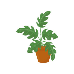 Icon of houseplant with wide green leaves. Decorative plant in brown ceramic pot. Natural flat vector element for home interior