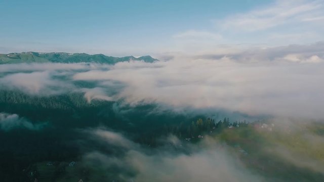 Gomi Mountain / Gomismta - Georgia, Guria