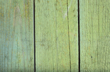old wooden green background. 