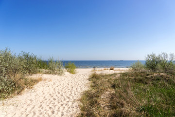 Fototapeta na wymiar Sandy path to the beach between the dunes, Baltic Sea Germany