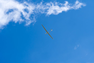 Glider in the blue sky