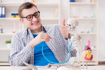 Medical student studying skeleton in classroom during lecture