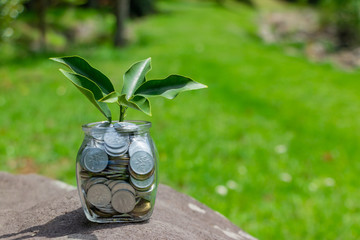 経済　貯蓄イメージ