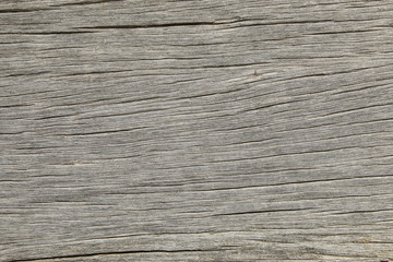 Wood texture with natural pattern. Background.Close-up