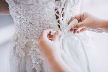 bride is wearing a wedding dress. - 204190879