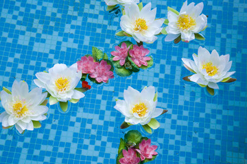 Flores en la piscina