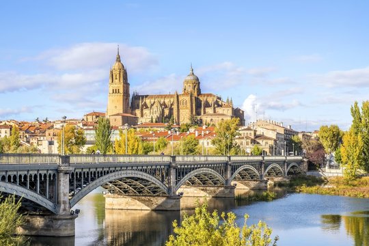 Cathedral, bridge over Tormes river, Salamanca, Castile and Leon, Spain, Europe