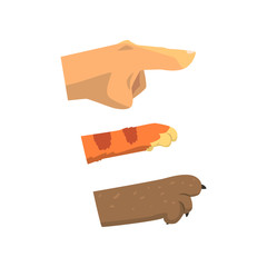 Human hand, cat and dog paw pointing right, pet shop, veterinary care concept vector Illustration on a white background