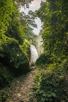Path in the jungle, waterfall in the background, Air Terjun Belawan, Kalianyar, Sempol, Jawa Timur, Indonesia, Asia