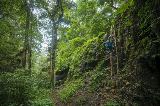 Young hiker on a bamboo ladder in the jungle, Kalianyar, Sempol, Jawa Timur, Indonesia, Asia