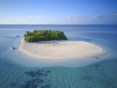 Uninhabited island for day trips with palm trees, bushes, sandy beach all around, offshore coral reef, Ari atoll, Indian Ocean, Maldives, Asia