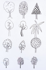 Fototapeta na wymiar doodle tree sketch design