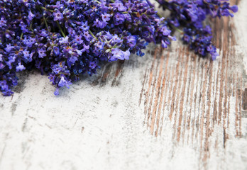 Obraz na płótnie Canvas bunch of lavender