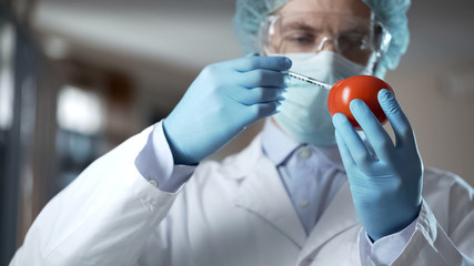 Agricultural lab worker injecting tomato with nitrates to keep it fresh, gmo