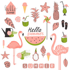 Summer set with flamingo, tropical plants and ice cream.Vector illustration