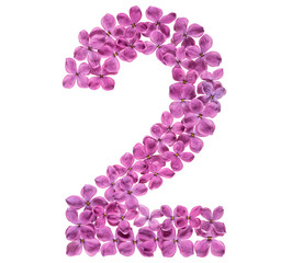 Arabic numeral 2, two, from flowers of lilac, isolated on white background