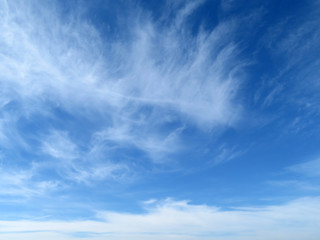 Fototapeta premium White feathered clouds in the blue sky. Beautiful sky background with cirrus clouds