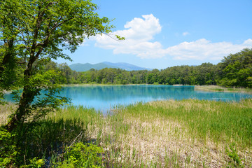 Obraz na płótnie Canvas 福島の五色沼湖沼群