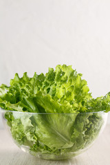 lettuce leaves in glass bowl on white background