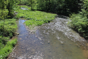 Polenz in der Sächsischen Schweiz