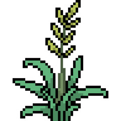vector pixel art grass