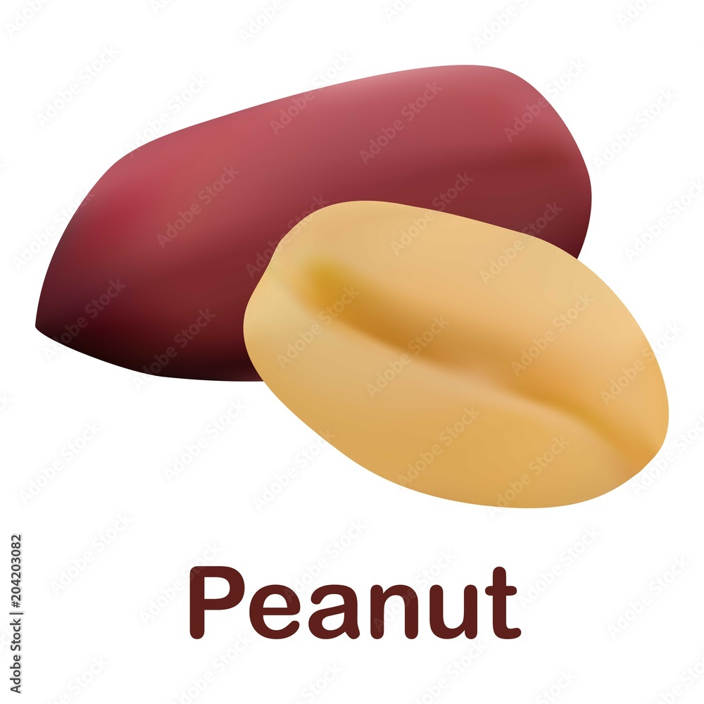 Poster peanut icon. realistic illustration of peanut vector icon for web design isolated on white backgroun
