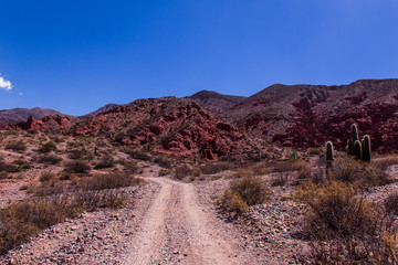 Treeking in Quebrada de las Señoritas close to Humahuaca - Salta Province in north of Argentina