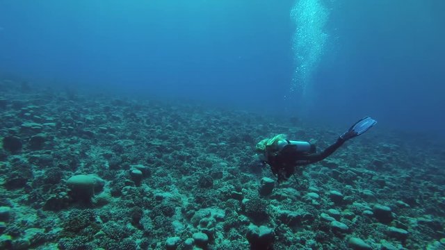 Young beautiful woman scuba diver swims over a huge coral field, Indian Ocean, Fuvahmulah island, Maldives
