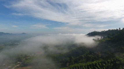 Fototapeta na wymiar morning fog in dense tropical rainforest, south of Thailand