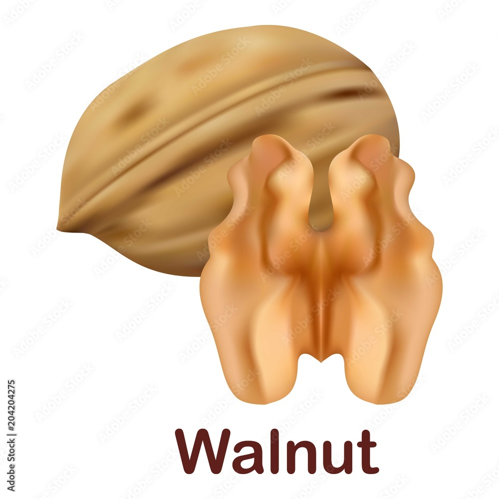 Poster walnut icon. realistic illustration of walnut vector icon for web design isolated on white backgroun